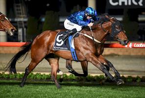 Moonlover - her 2nd win at Moonee Valley Moonlover - her 2nd win at Moonee Valley